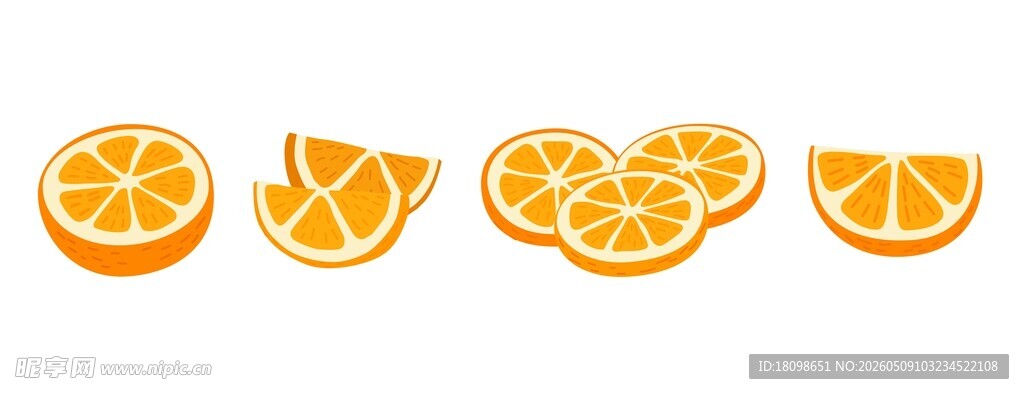 橙子切片素材