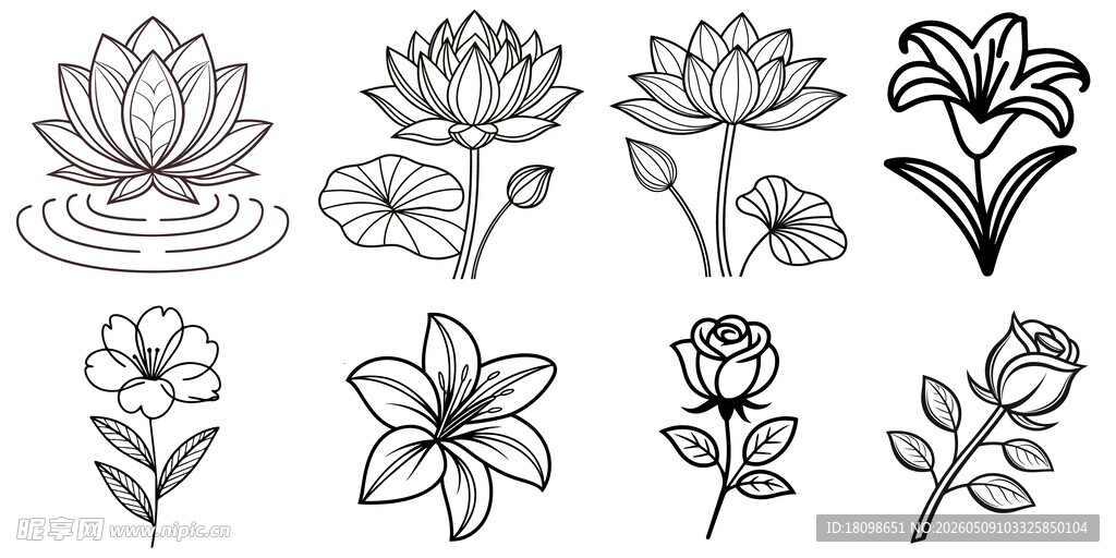 黑白花卉线稿