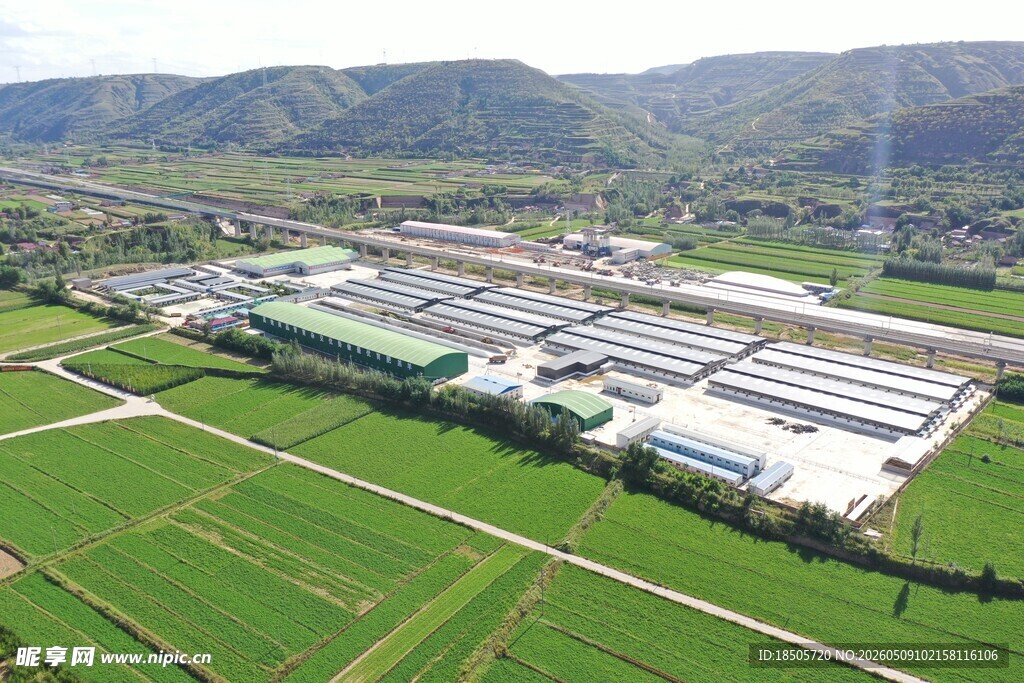 工厂坐落于绿野山间