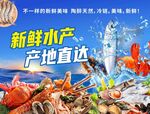 新鲜水产产地直达海鲜图