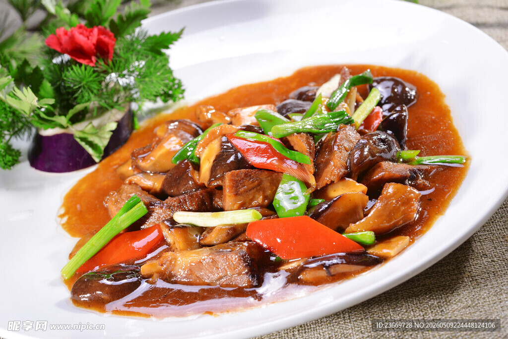 美味红烧牛肉菜肴