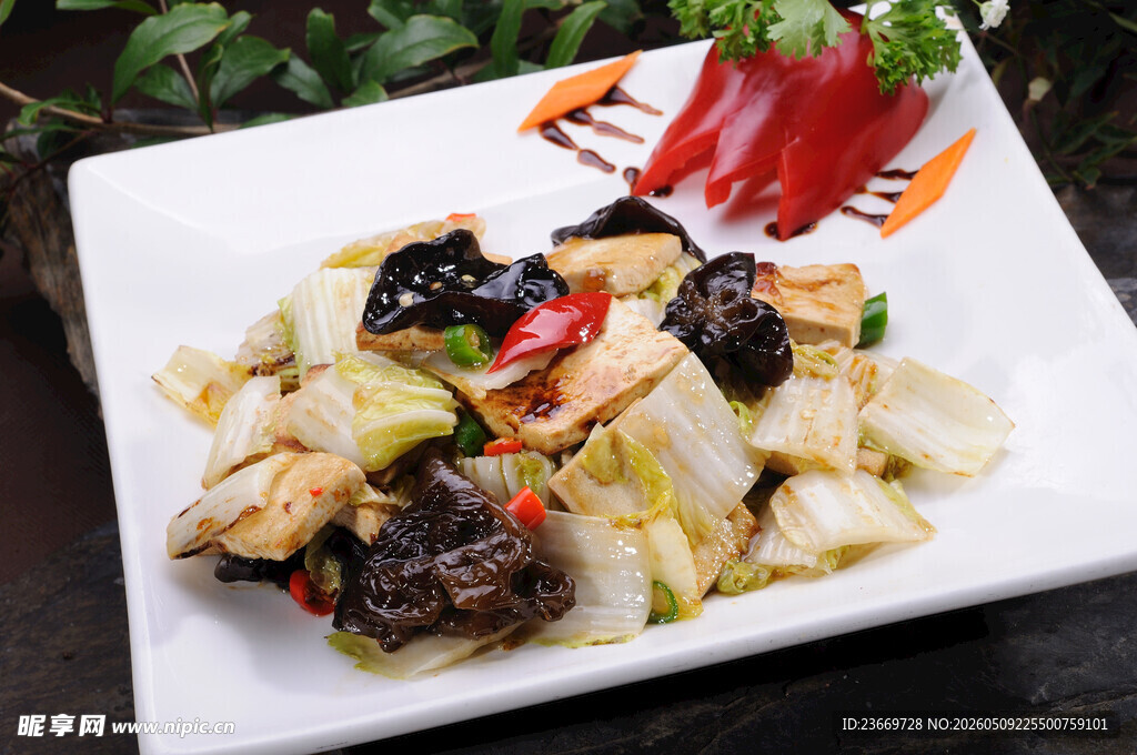 白菜木耳炒豆腐