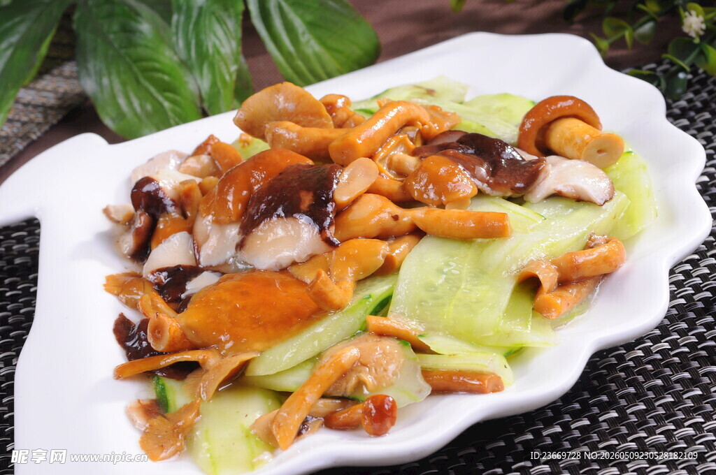 青瓜炒野菌