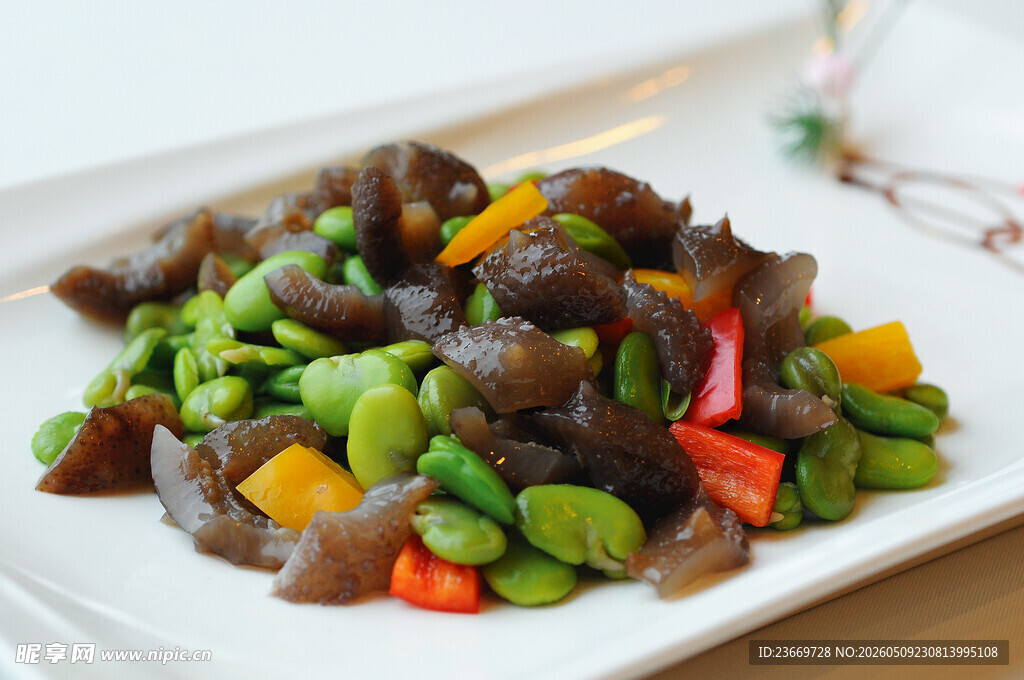 扁豆炒辽参