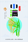 二十四节气小满设计素材