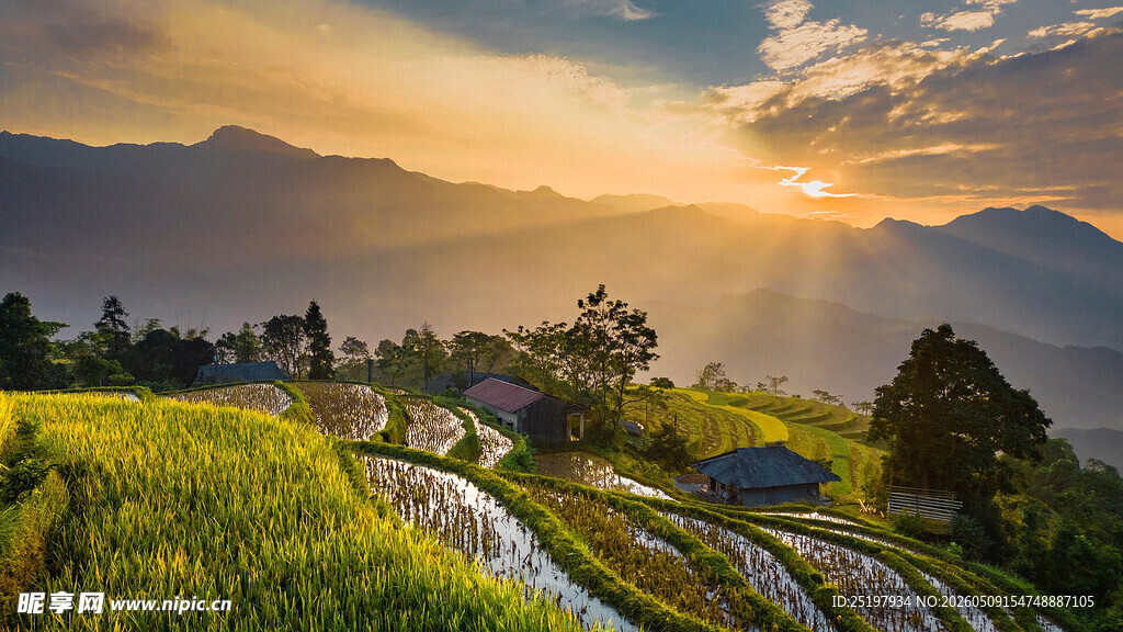 山间梯田日出美景