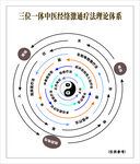 中医经络循行理论示意图
