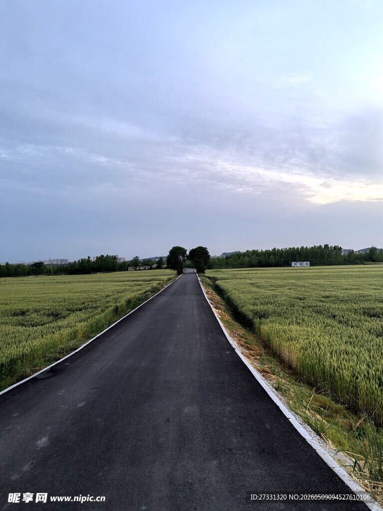 乡间公路延伸向远方