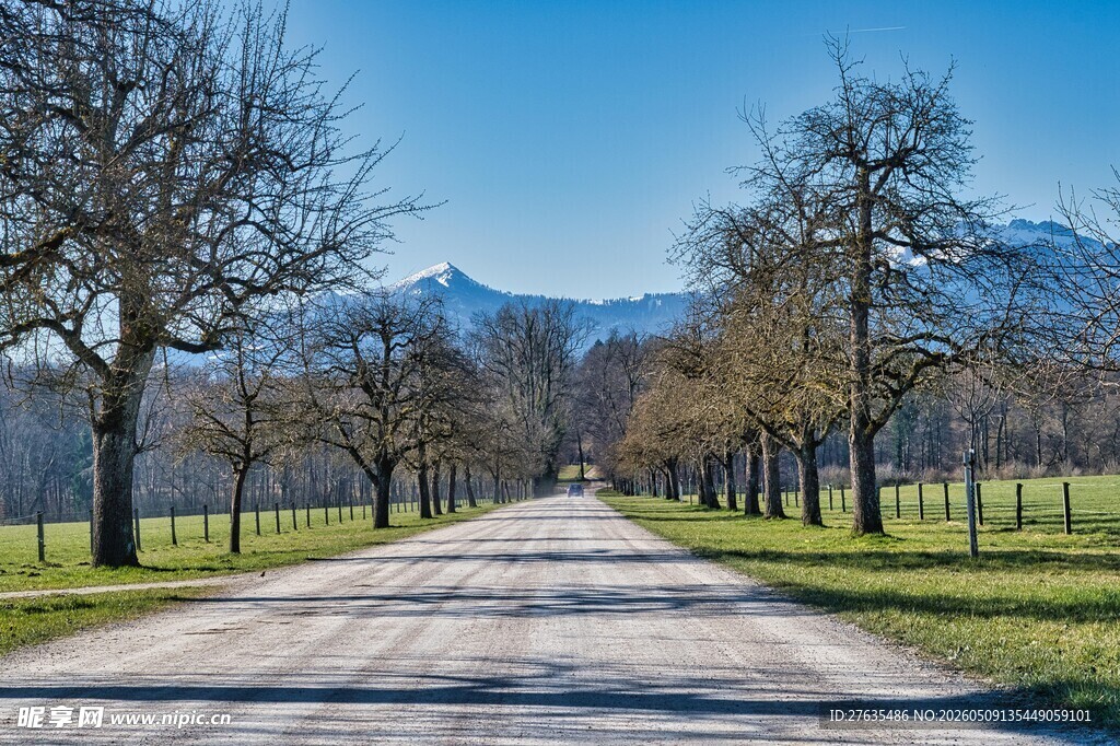 林间公路通向远方美景