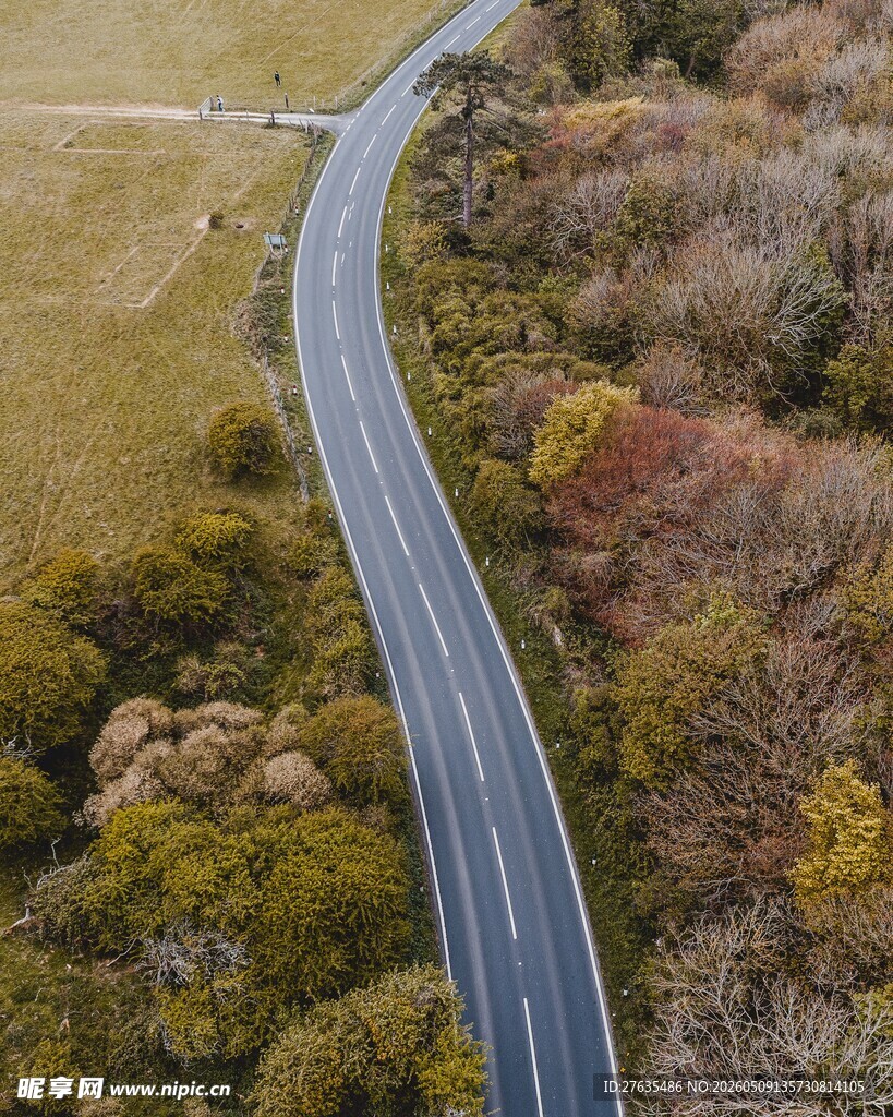 蜿蜒公路穿行多彩山林