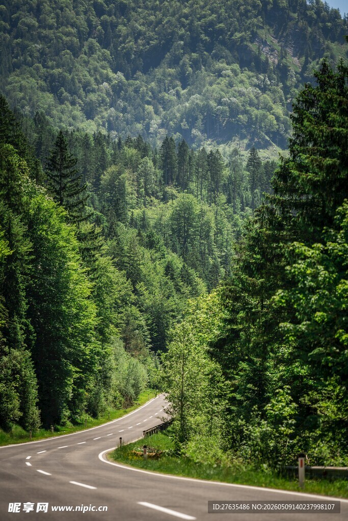 蜿蜒山路穿行于葱郁山林