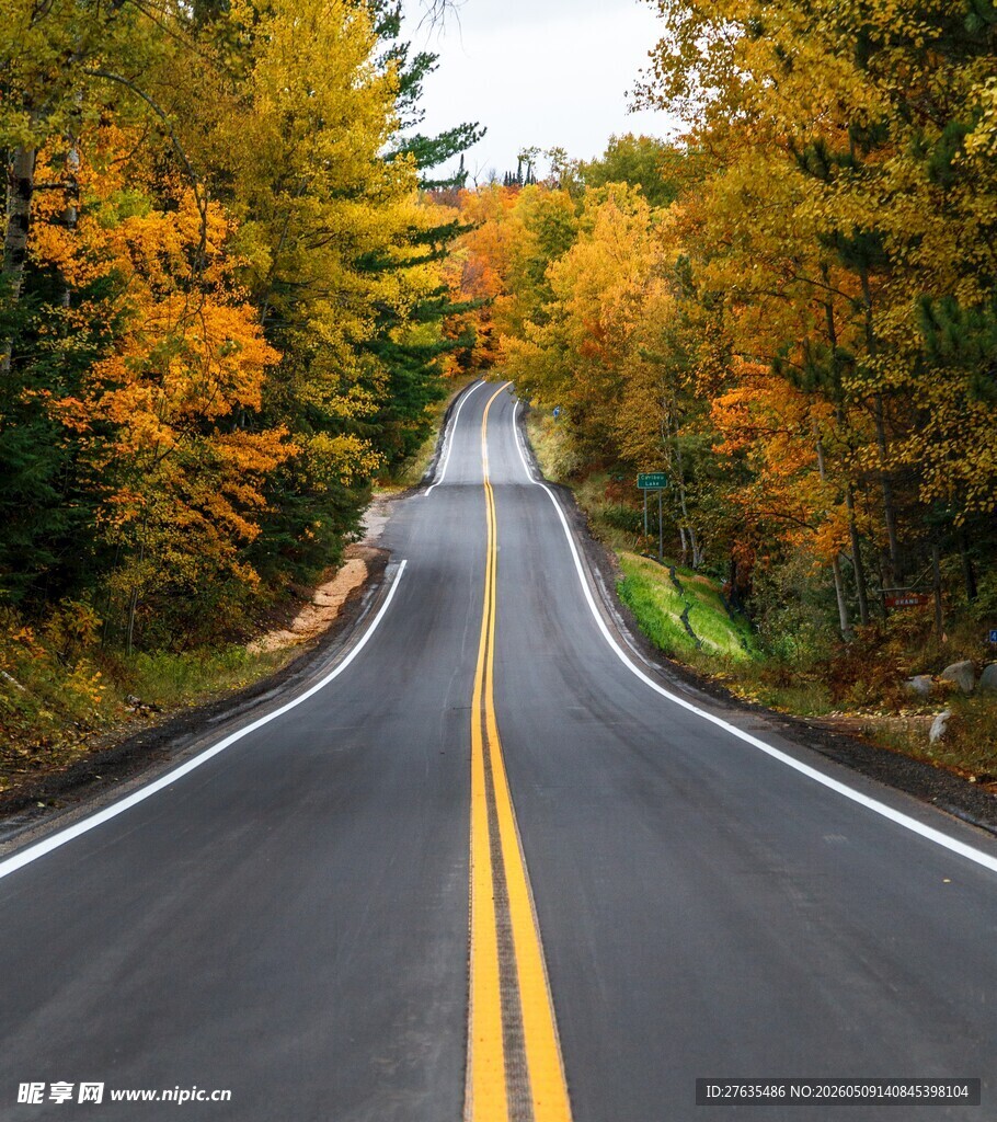 秋日林间公路美景