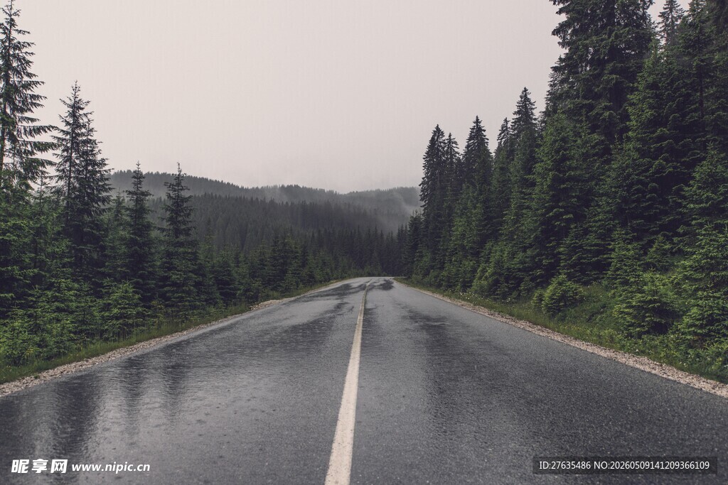 雨中林间公路