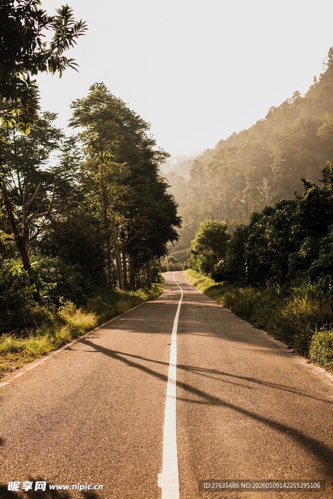 林间公路