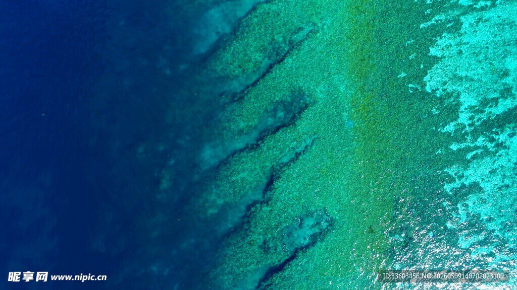 蔚蓝海洋与翠绿浅滩景观