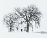 雪覆小屋与枯树的静谧景