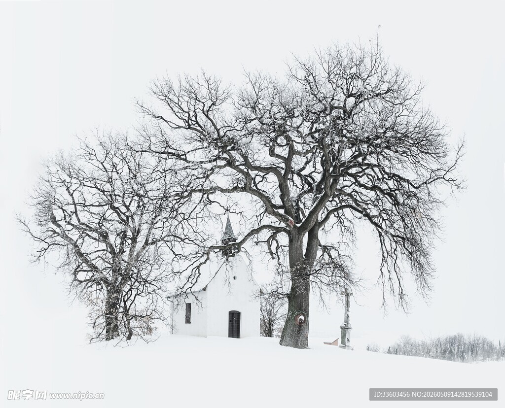 雪覆小屋与枯树的静谧景
