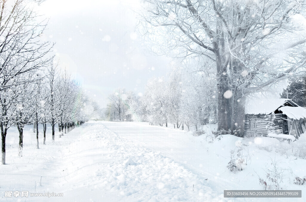 冬日雪景银白静谧的小路