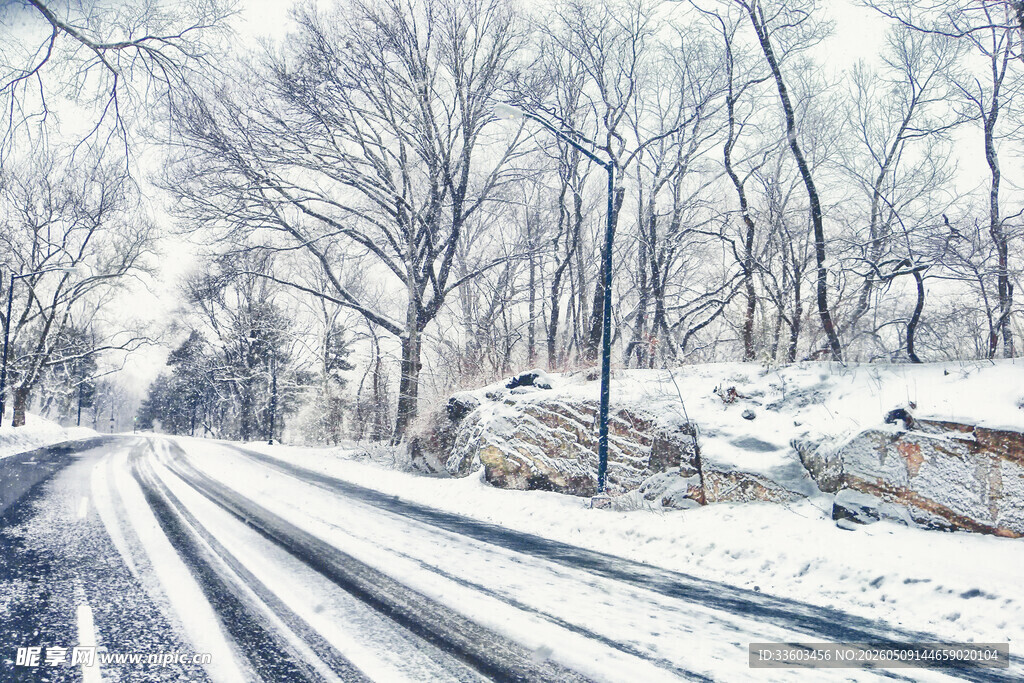 冬日雪后林间道路美景