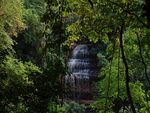 林间瀑布美景