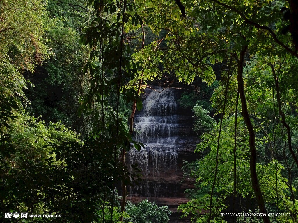 林间瀑布美景