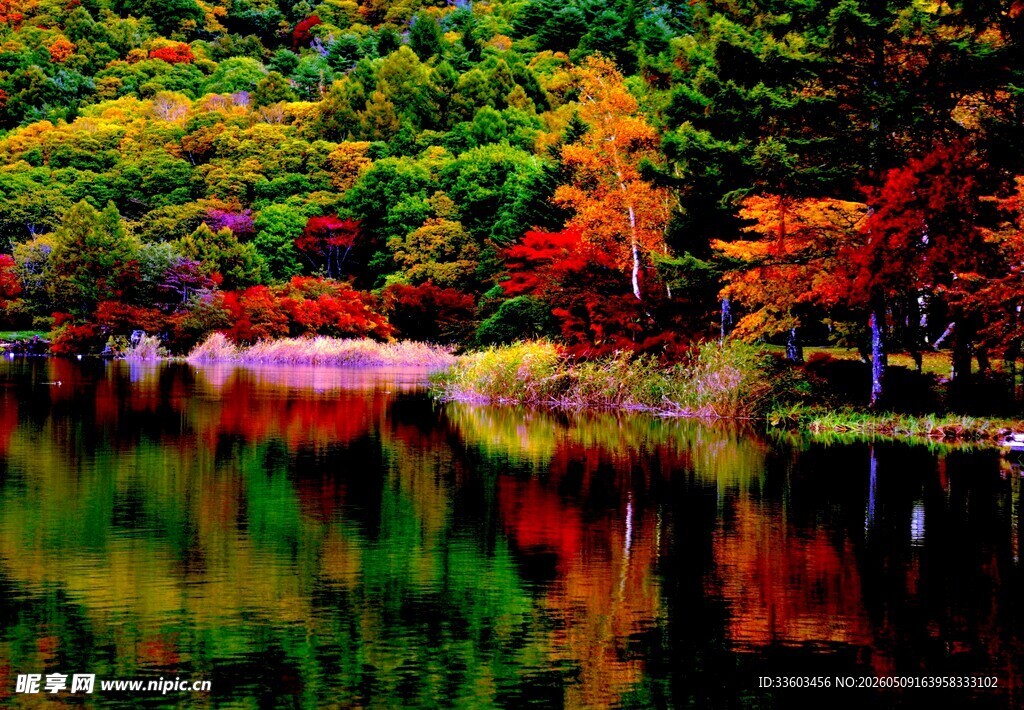 秋日湖景