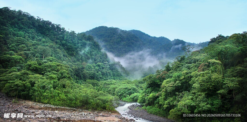 山间溪流绿意盎然的景致