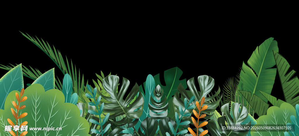 热带绿植背景图