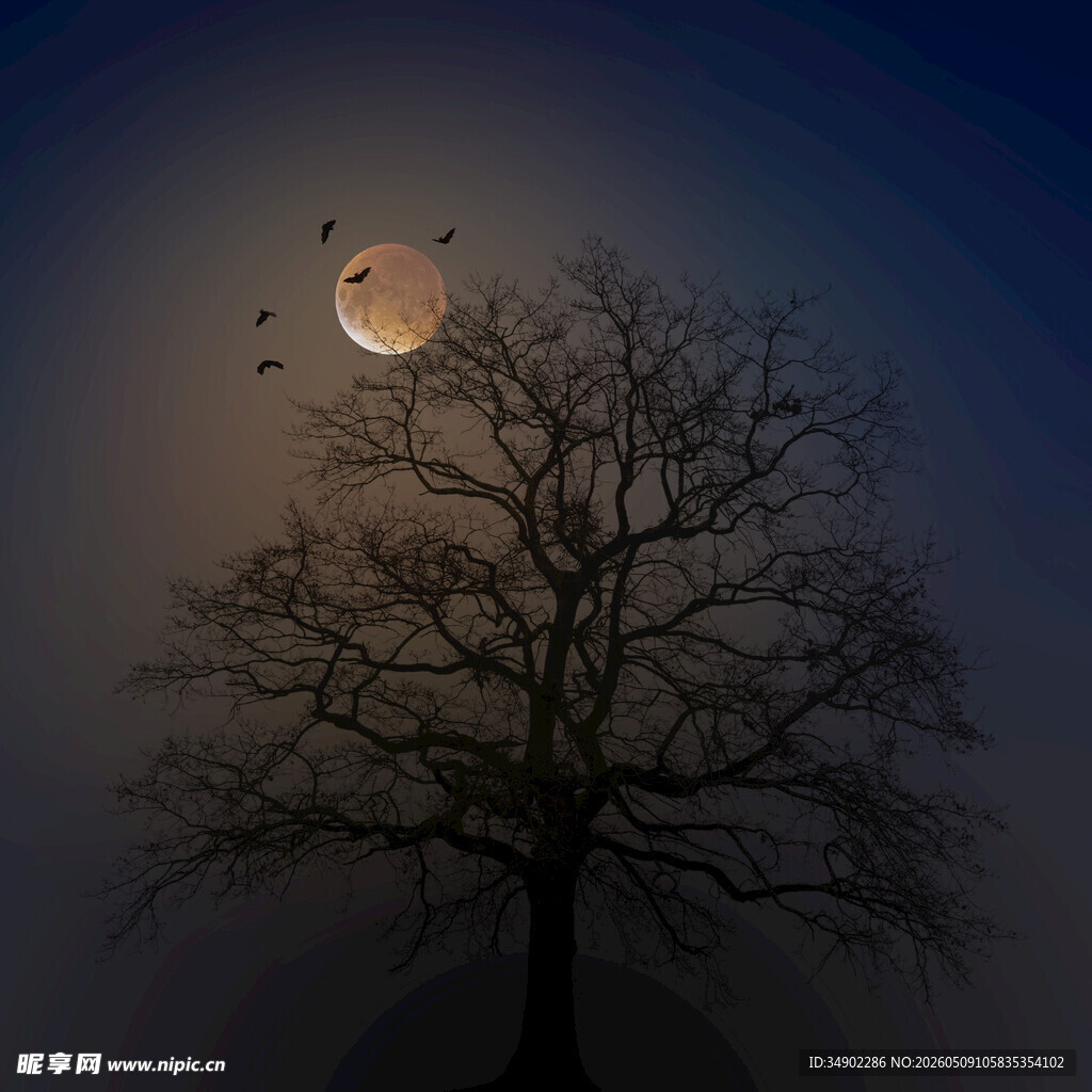 月夜孤树