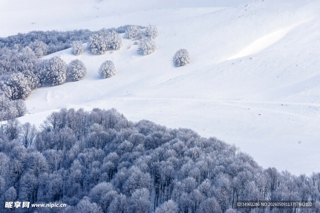 冬日雪覆山林美景