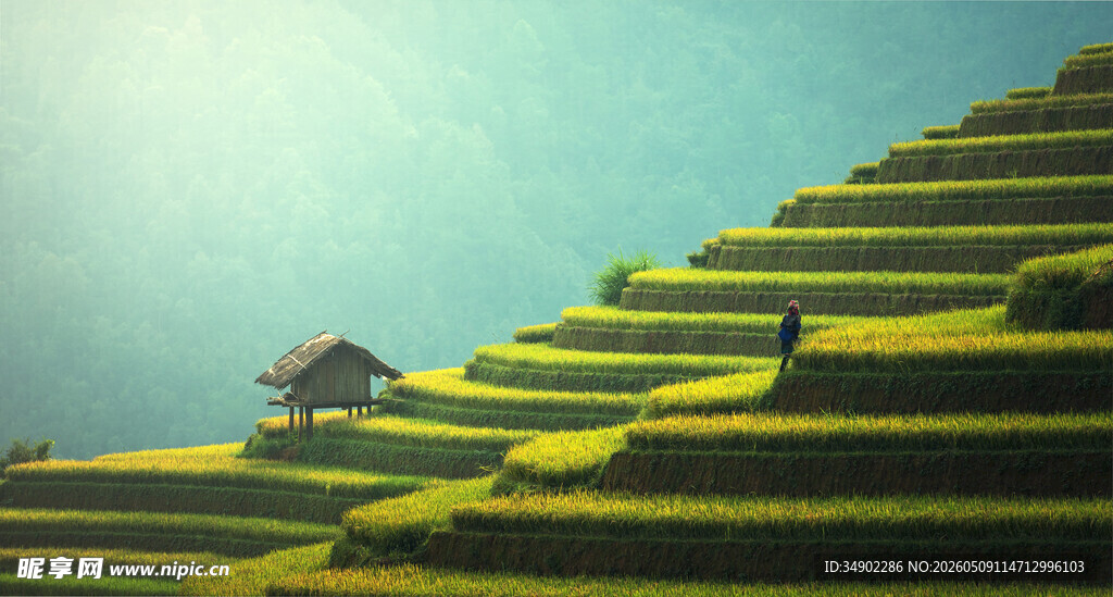 山间梯田美景