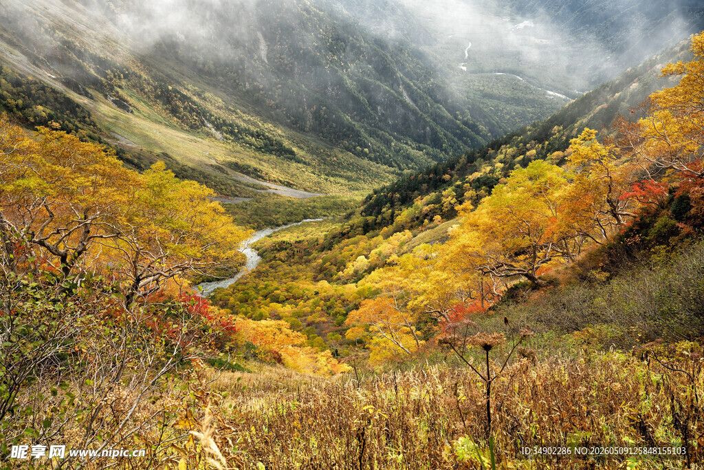 秋日山谷美景