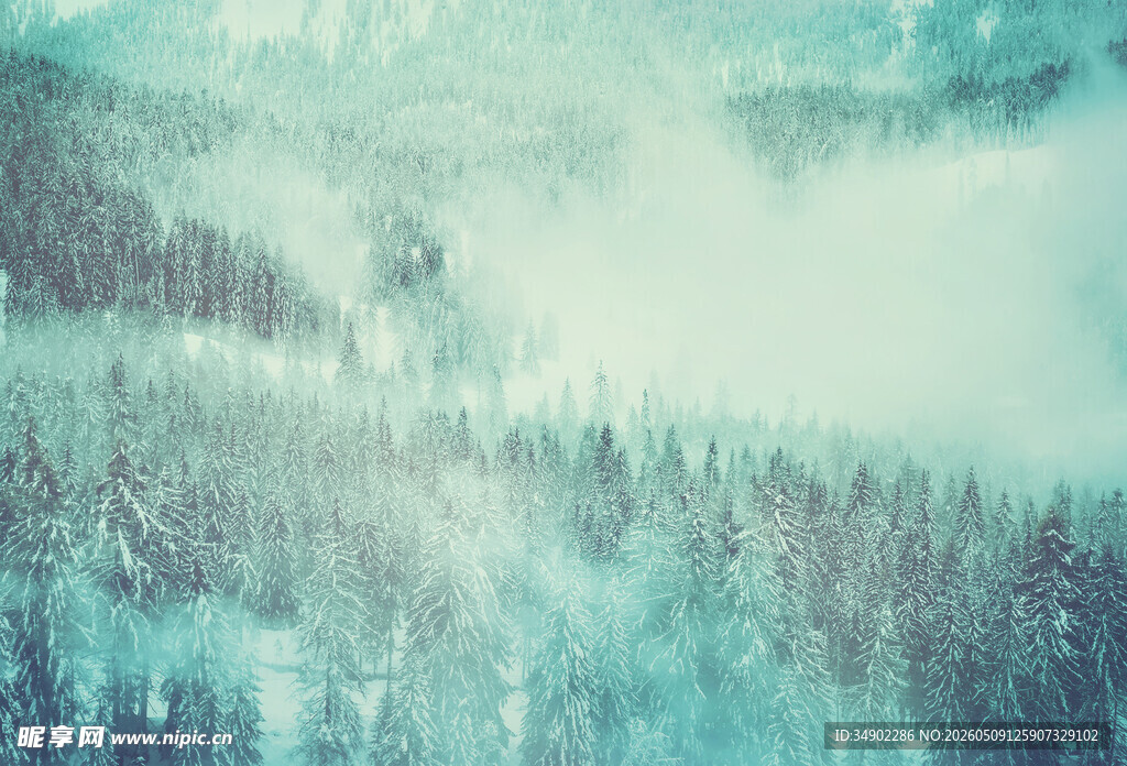梦幻冰雪森林景观
