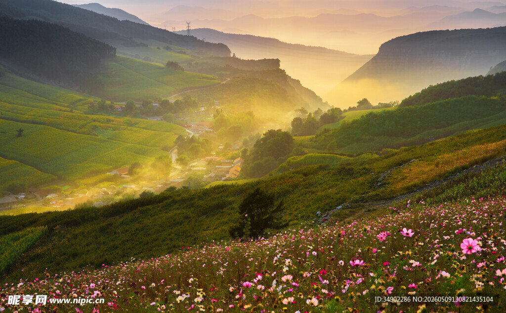 山间花海晨光美景