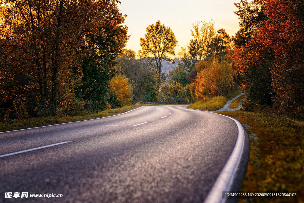 秋日林间蜿蜒公路美景
