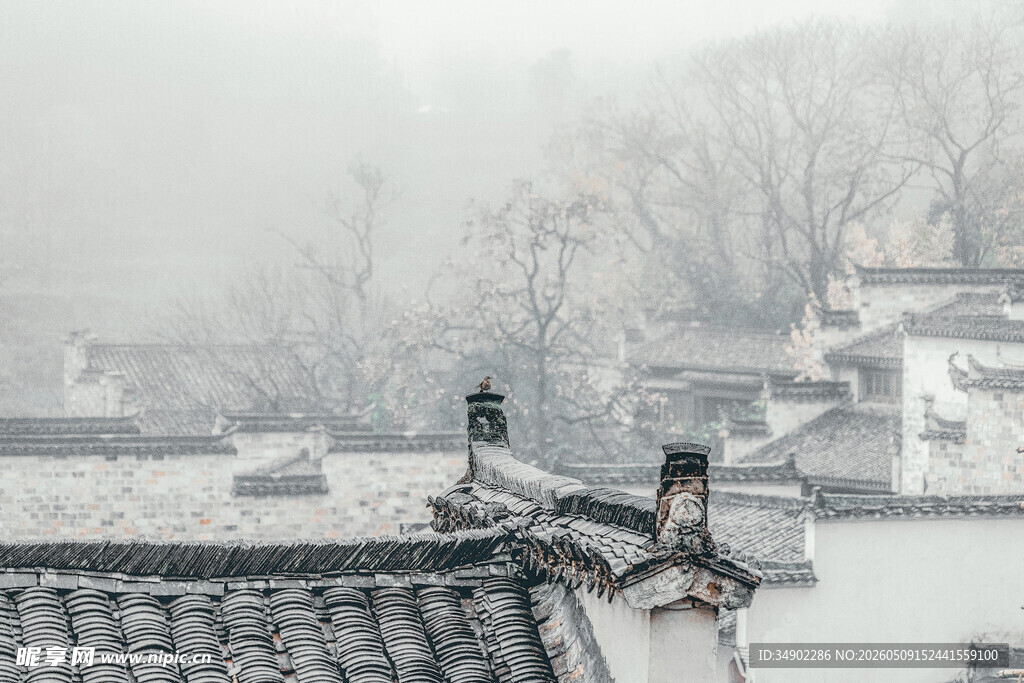 雾中水乡屋顶景致