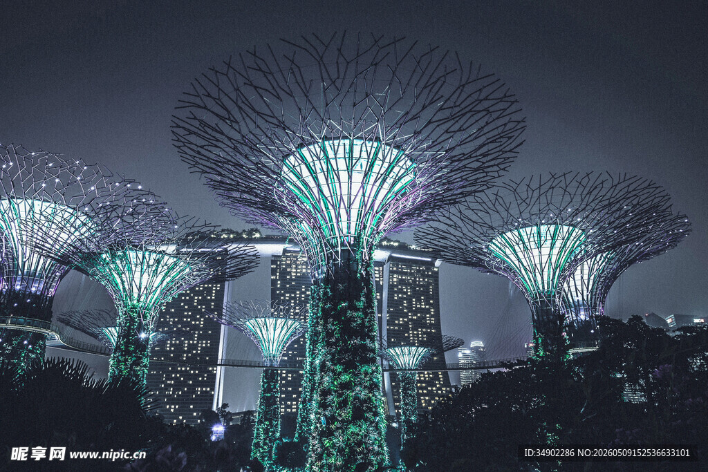 新加坡滨海湾夜景树灯光秀