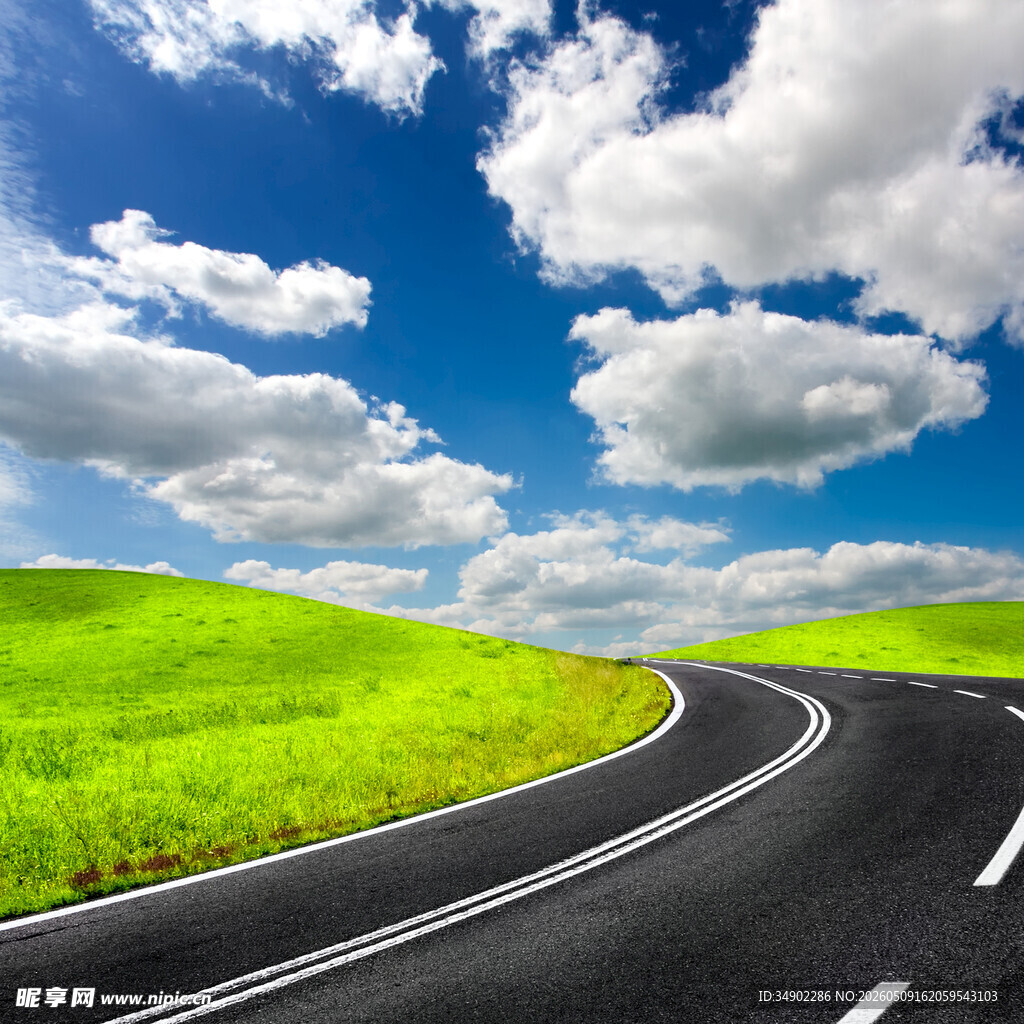 蜿蜒公路旁的翠绿原野