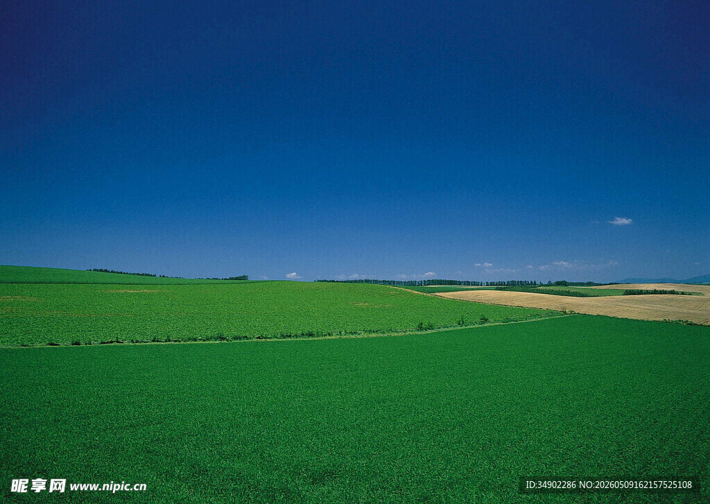 广袤绿野蓝天之下的风光
