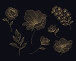 黑金线条花卉