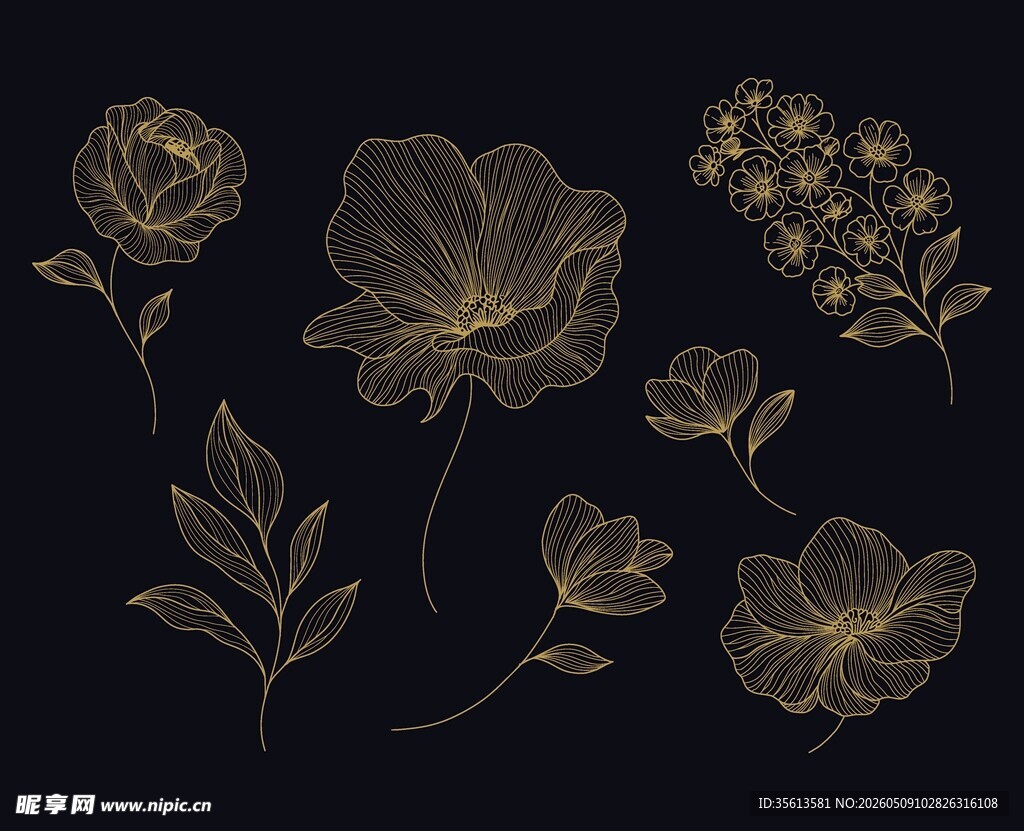 黑金线条花卉