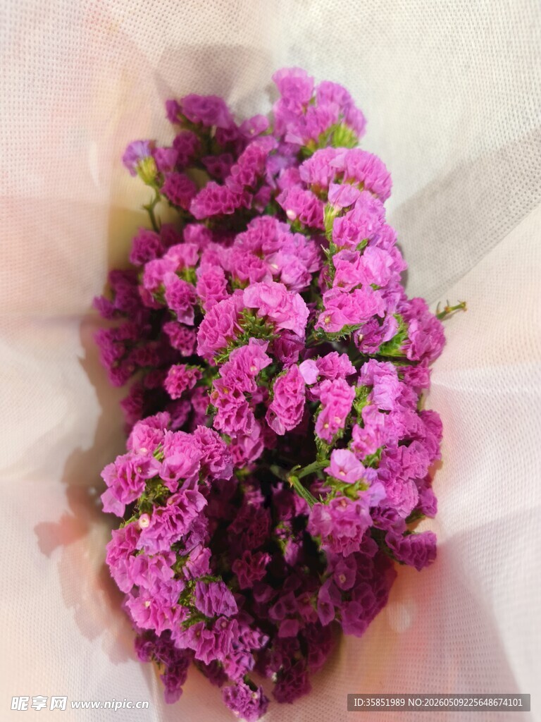 紫色满天星花束特写