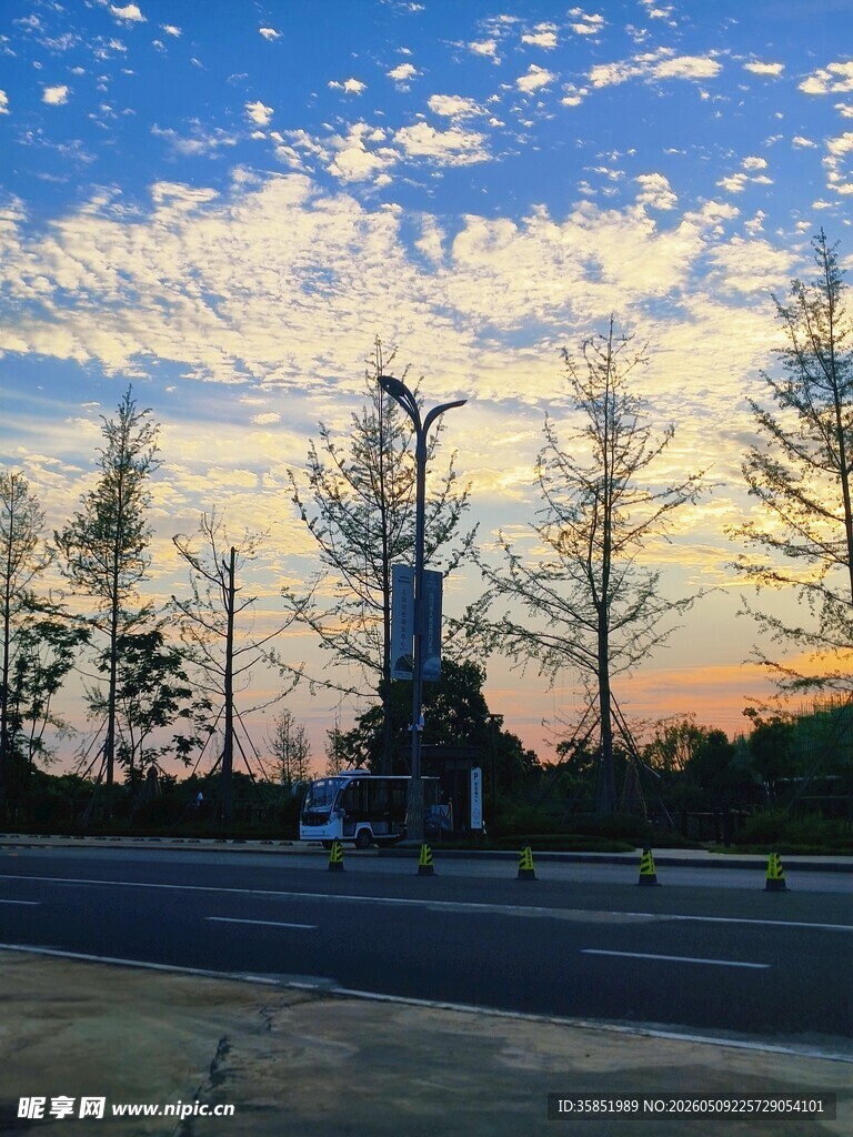 夕阳下的雕像与树林景观