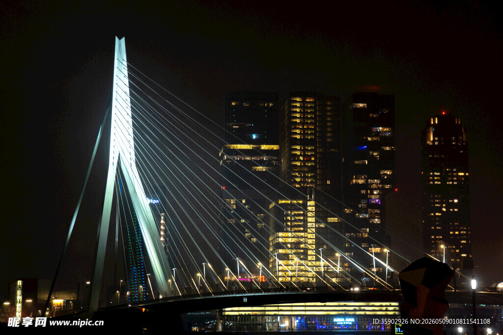 鹿特丹伊拉斯谟斯大桥夜景