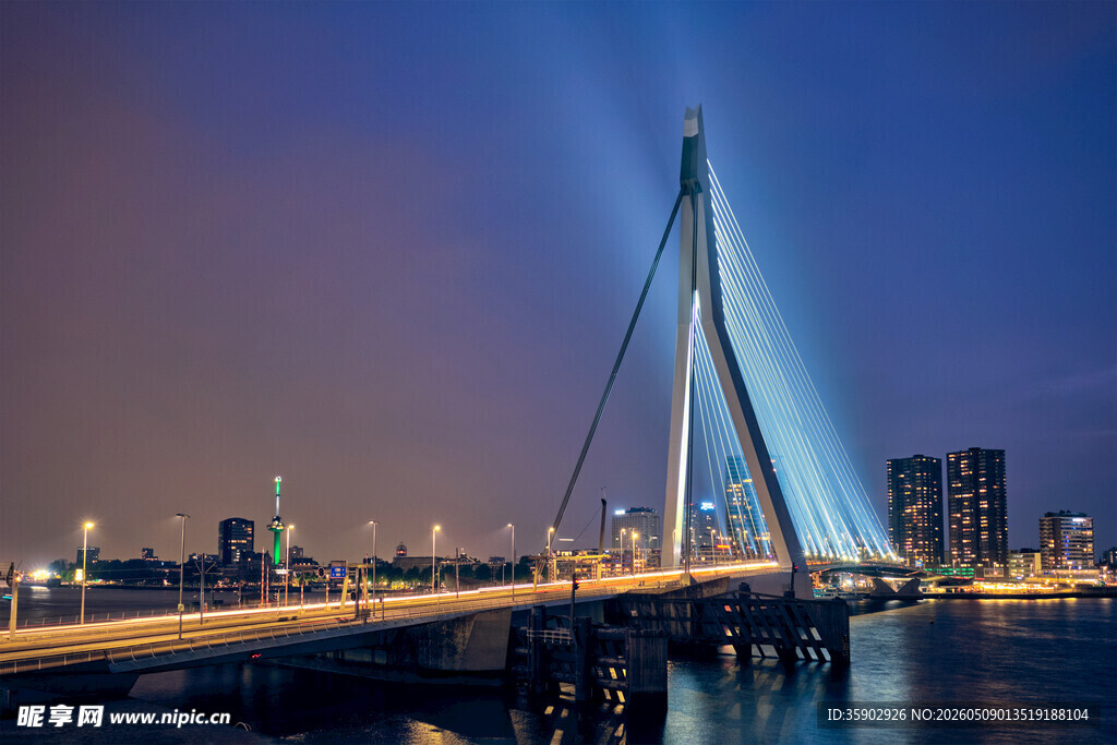 城市夜景中的璀璨斜拉桥
