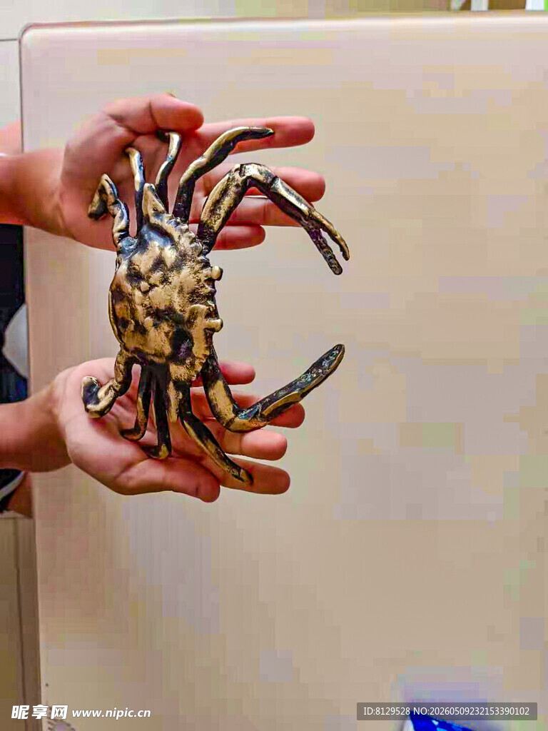 双手捧起的大螃蟹