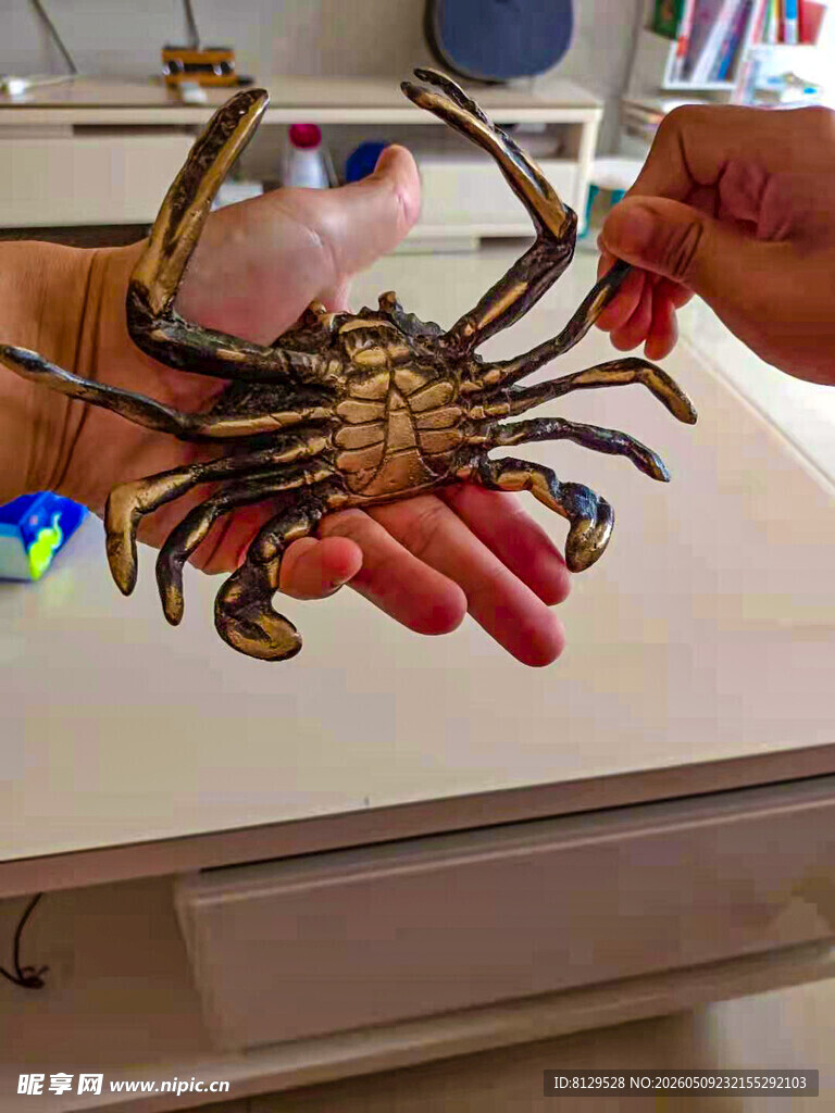 手中鲜活大螃蟹