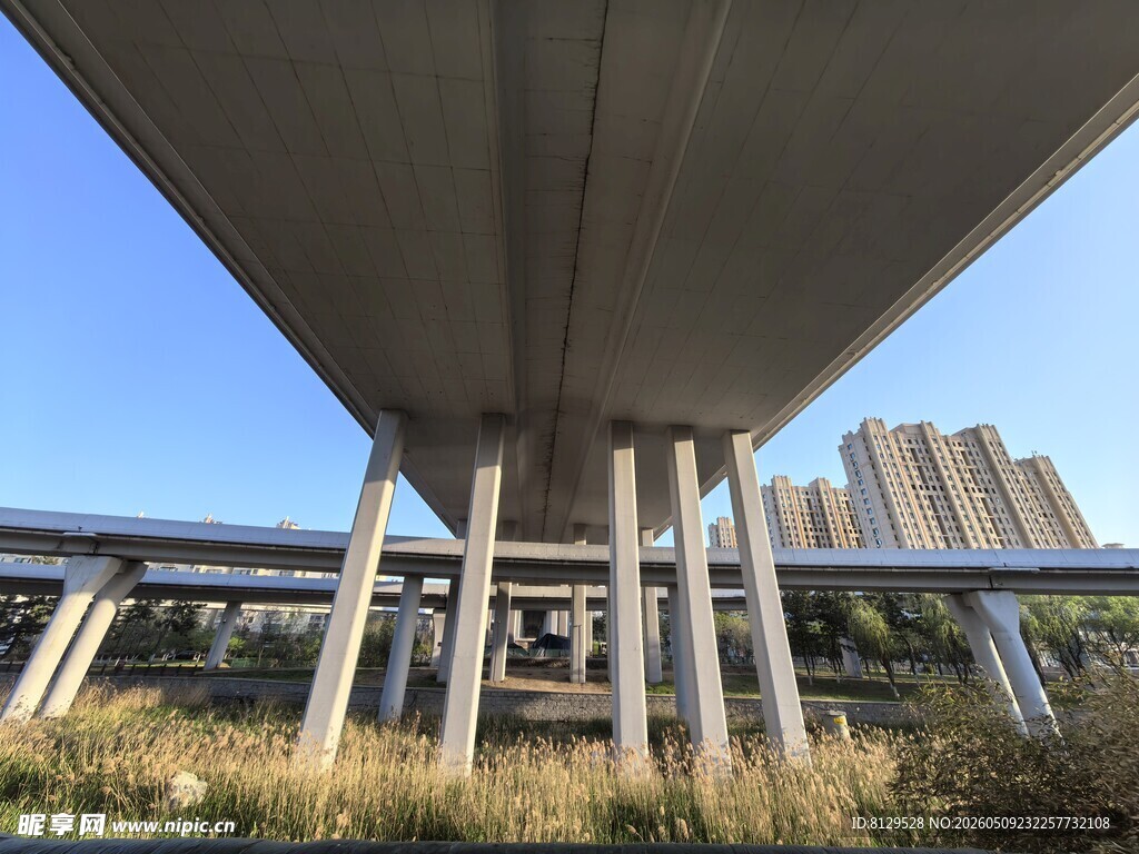 高架桥下的城市景象