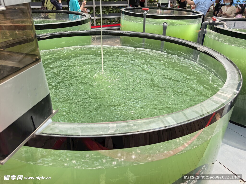 圆形绿水池景观