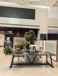 室内雅致绿植景观布置